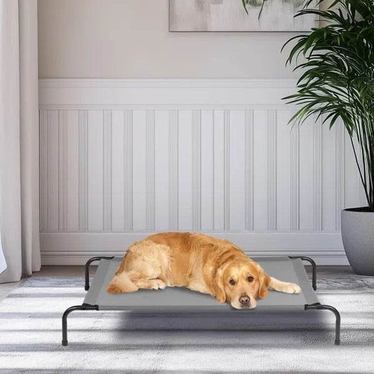 50D X 31W X 8H Dog Bed - Velora
