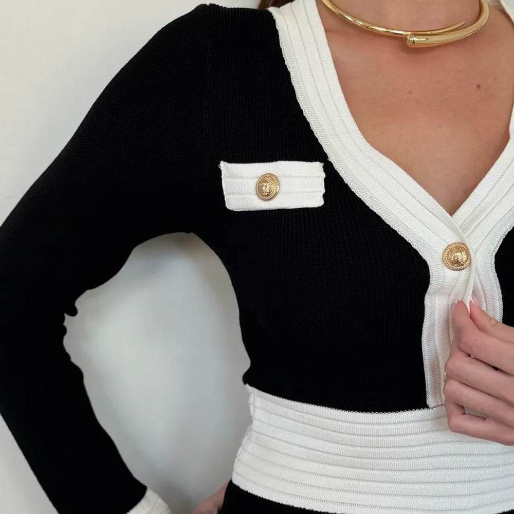 Elegant Contrast Color Tight Waist Sheath Dress Long Sleeve - Velora
