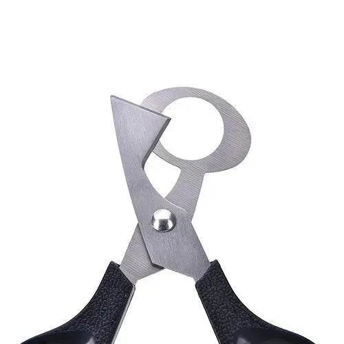 Pigeon Quail Egg Scissor Bird Cutter Opener Kitchen Tool - Velora