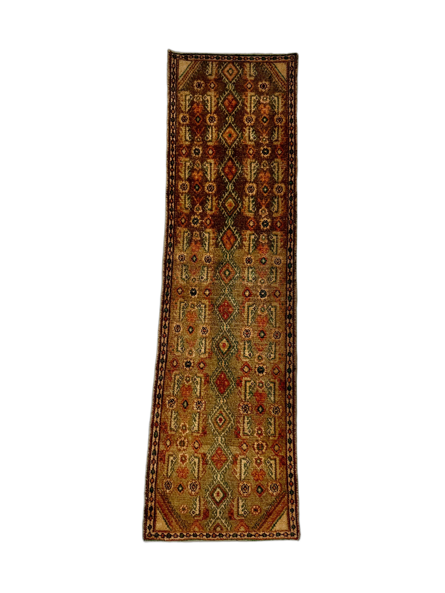 Persian Borujerd Runner Rug | 1' 10” x 6' 5" - Velora