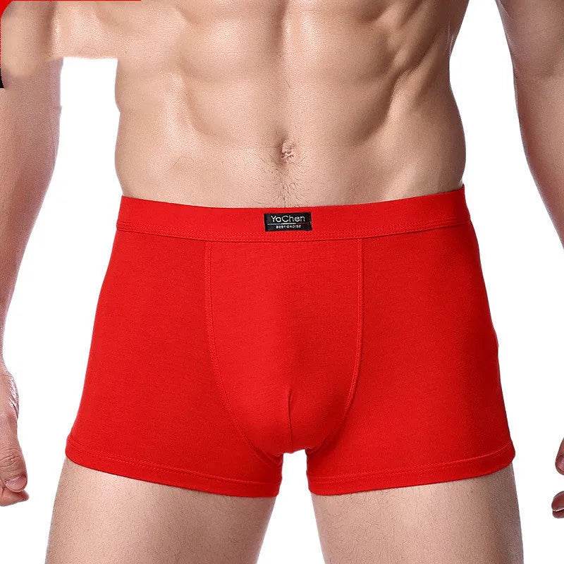 Men's Underwear Boxer Briefs Panties Bamboo Fiber Modal