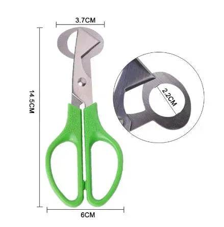 Pigeon Quail Egg Scissor Bird Cutter Opener Kitchen Tool - Velora