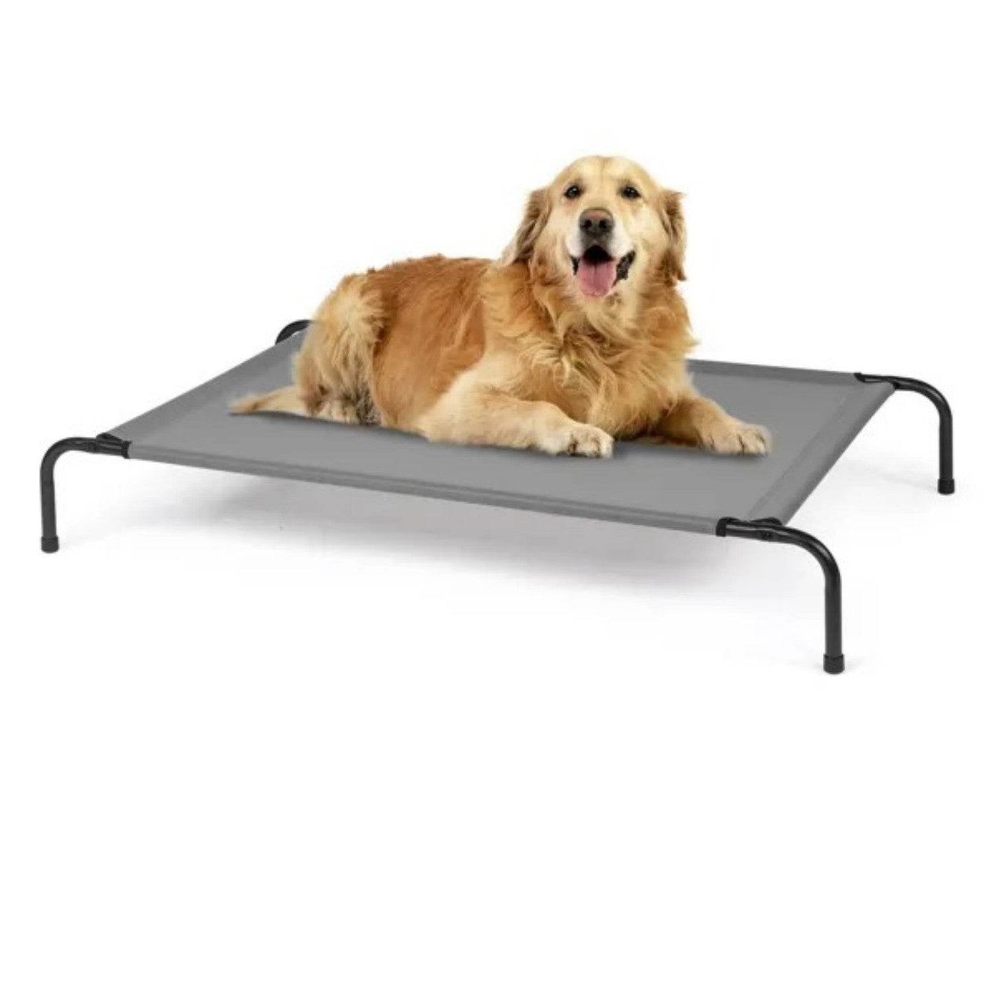 50D X 31W X 8H Dog Bed - Velora