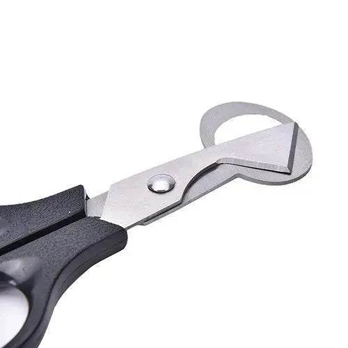 Pigeon Quail Egg Scissor Bird Cutter Opener Kitchen Tool - Velora