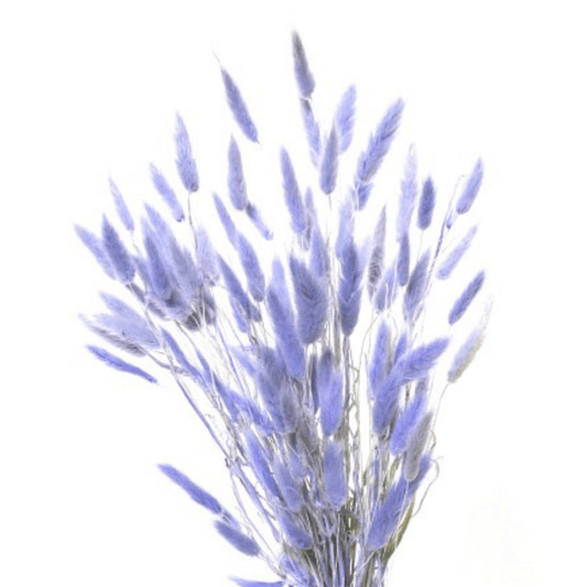 Bunnytails Purple - Velora Luxury Fashion