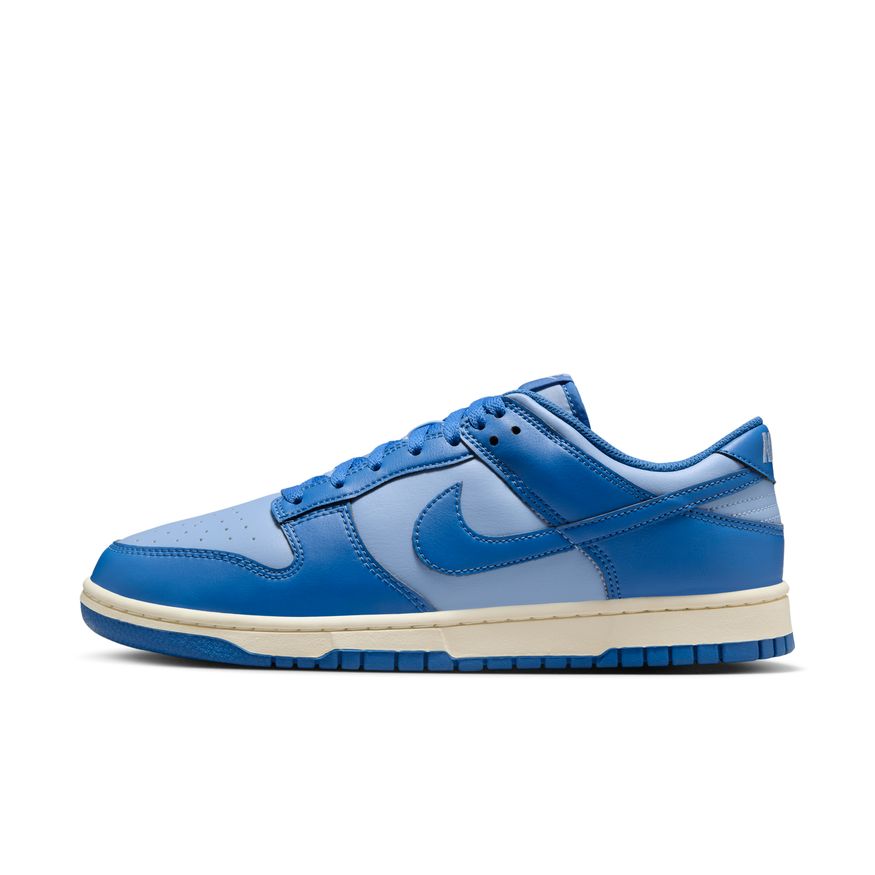 M Nike Dunk Low Retro HF5441-400 - Velora