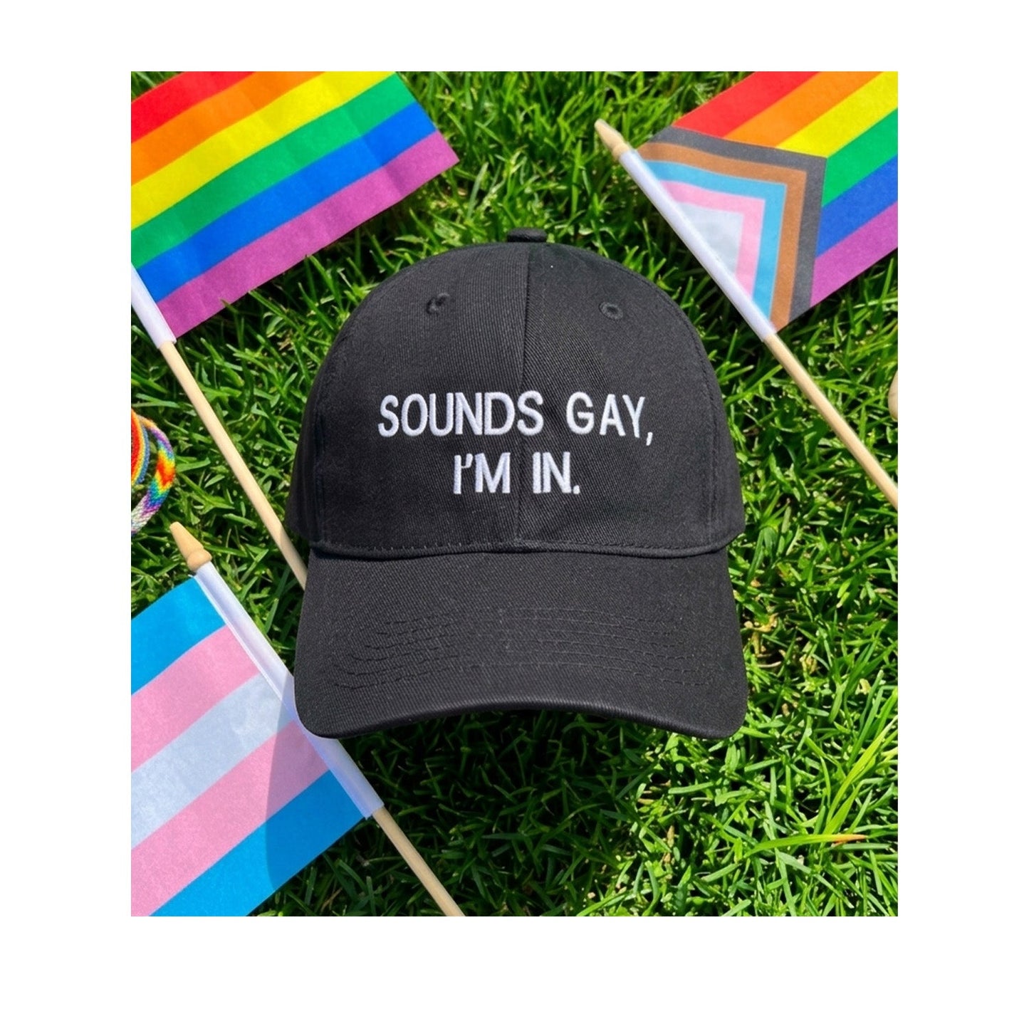 Floof Unisex Sounds Gay Cap in Black
