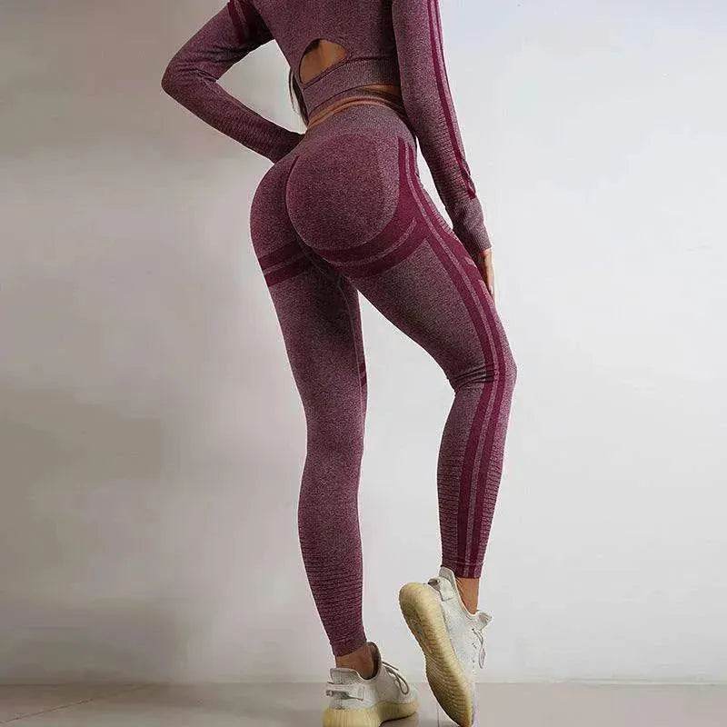Seamless Yoga Pants Sports Gym Fitness Leggings Or Long Sleeve Tops Outfit - Velora