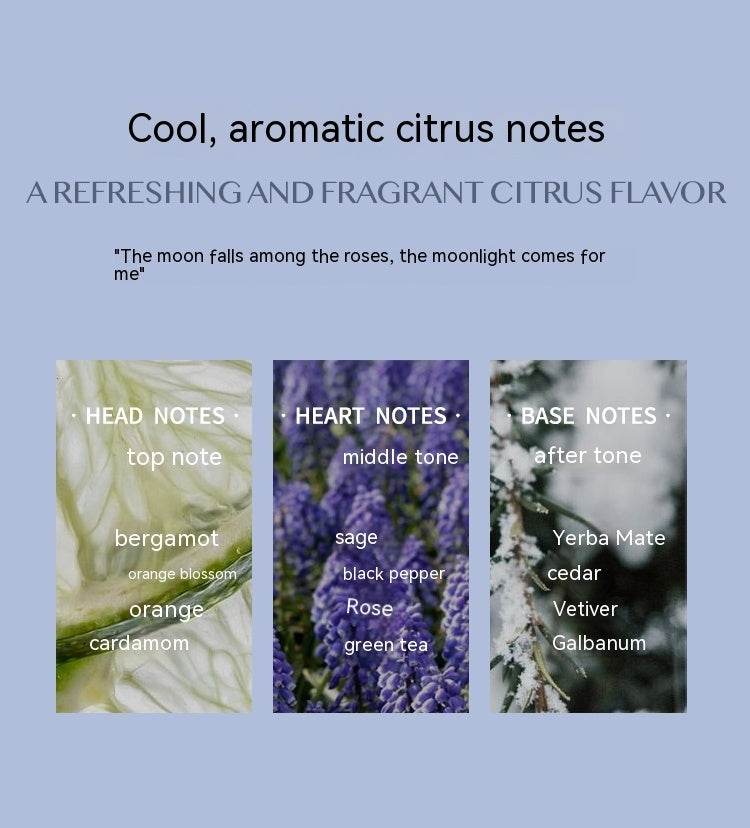 Aromatic Citrus Aromatic Perfume Long-lasting Perfume - Velora