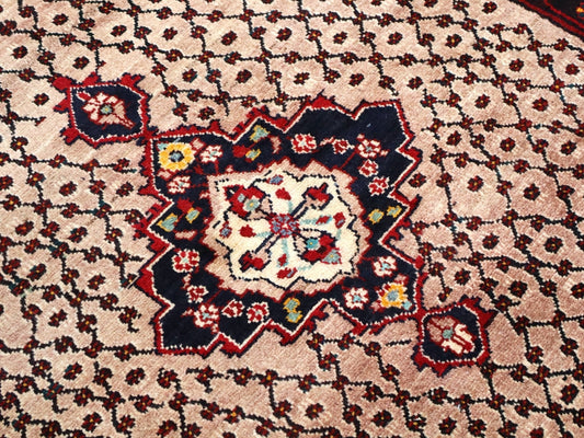 Persian Koliai Rug | 5' 2" x 9' 4" - Velora