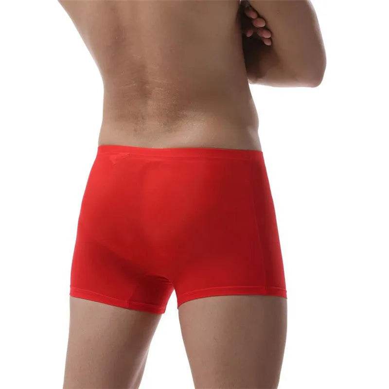 Ice Silk Transparent Elastic Boxer briefs Pant underwear for men - Velora