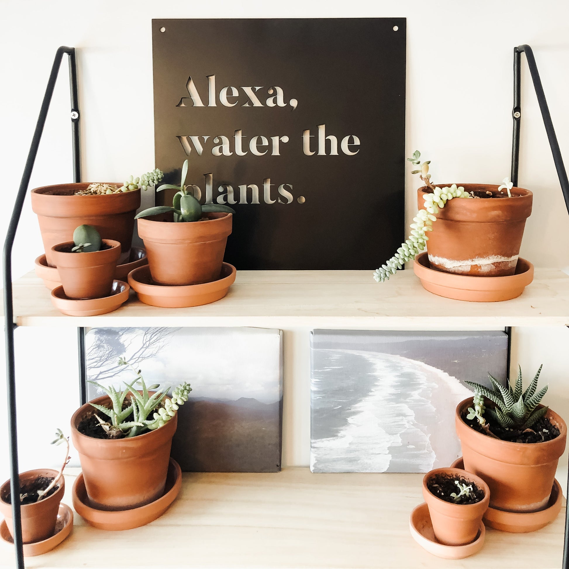 12" x 12" Alexa, Water the Plants - Velora Luxury Fashion