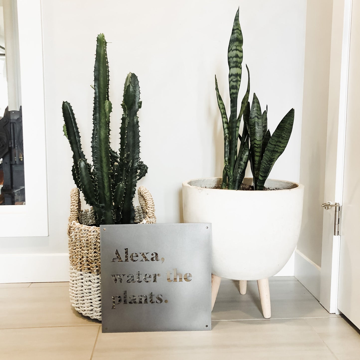 12" x 12" Alexa, Water the Plants - Velora Luxury Fashion