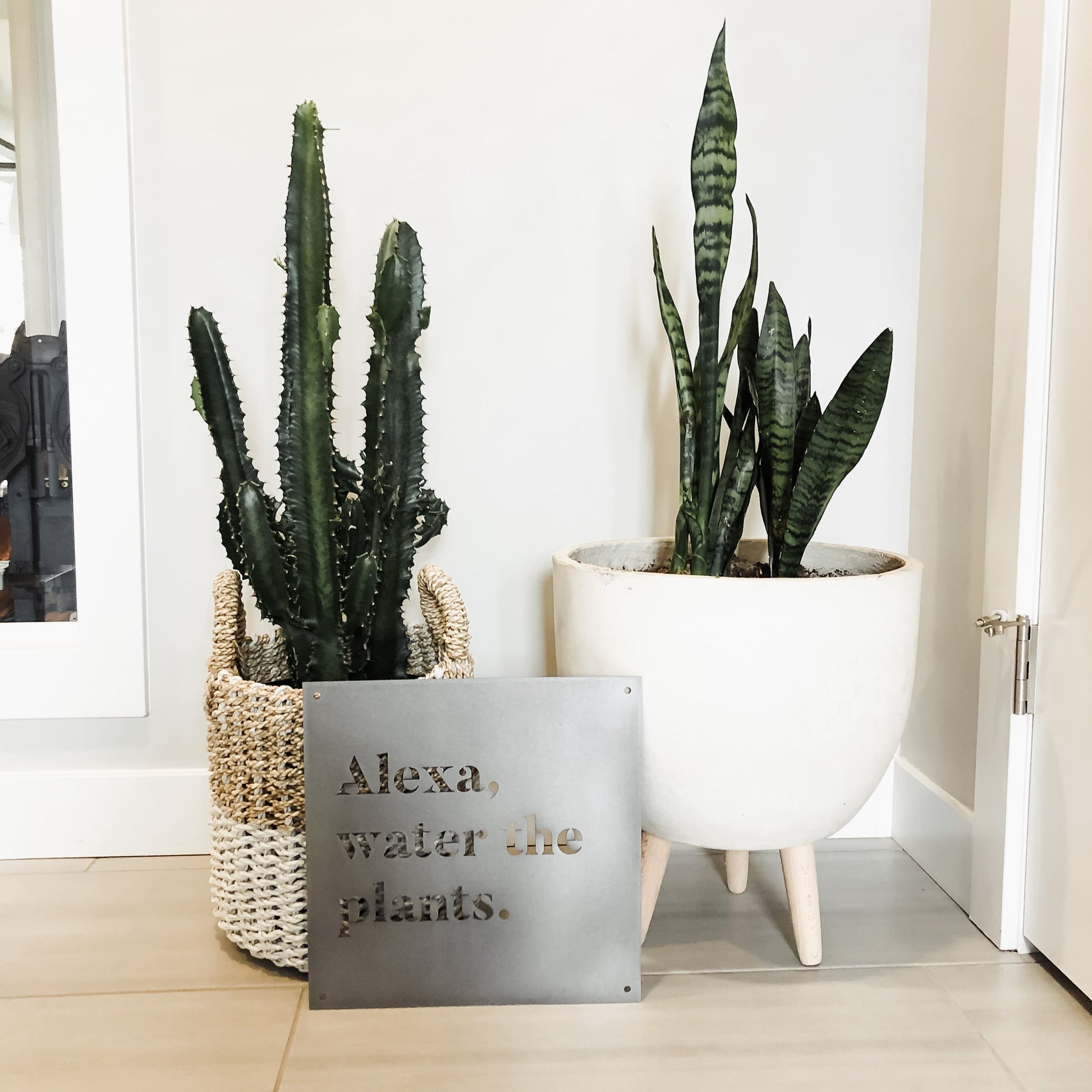 12" x 12" Alexa, Water the Plants - Velora Luxury Fashion
