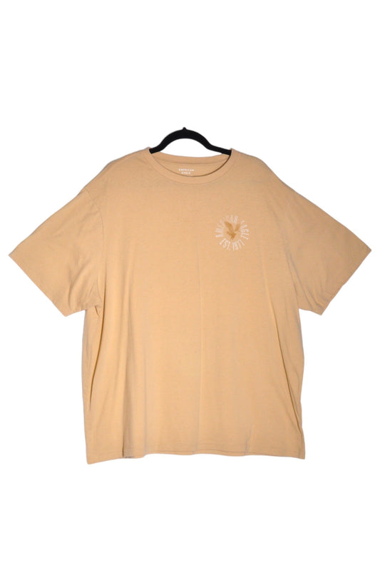 AMERICAN EAGLE Men T-Shirts Regular fit in Beige - 3XL - Velora