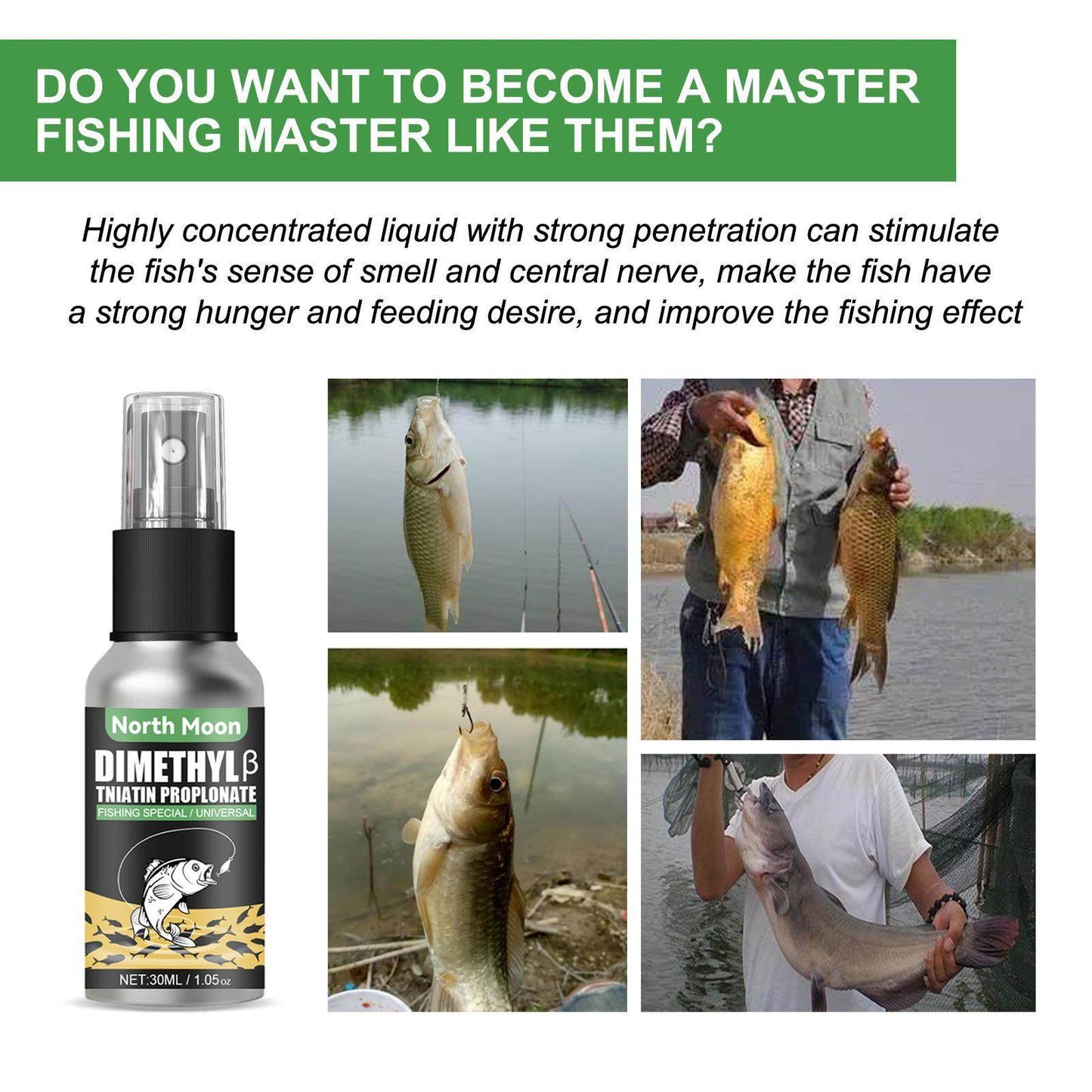 Igbang Wild Fishing Bait Small Medicine Fish Attractant - Velora