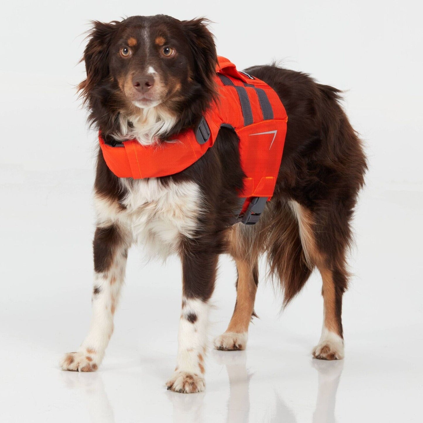 NRS CFD Dog Life Jackets - Velora