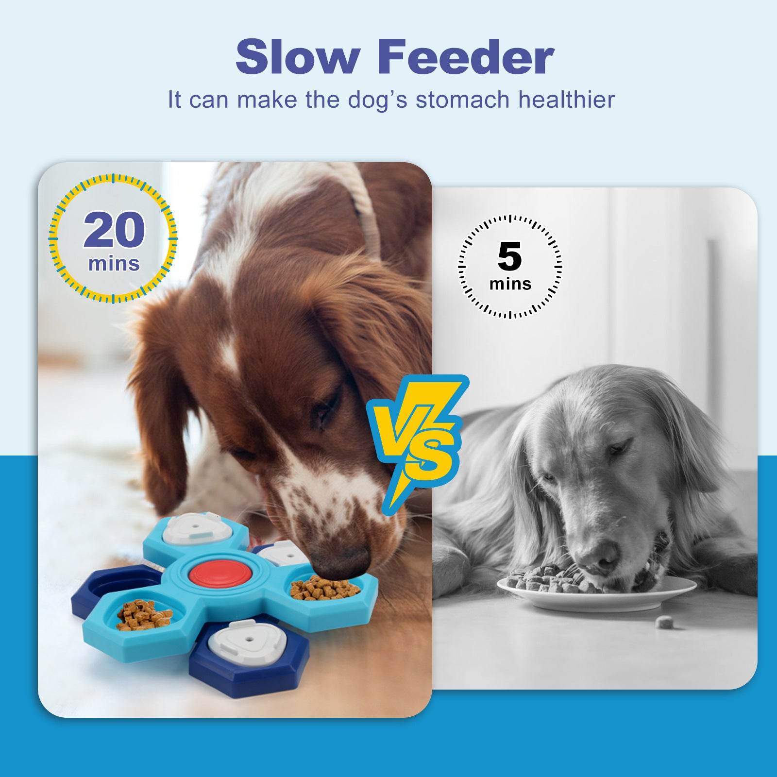 4 Layers Slow Feeder Dog bowl Puzzle feeder toy - Velora