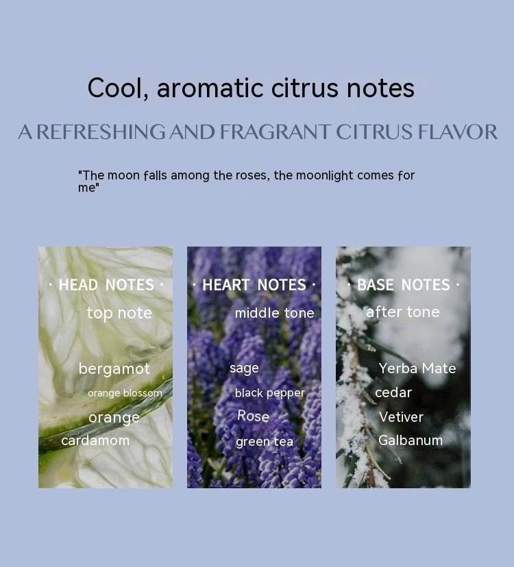 Aromatic Citrus Aromatic Perfume Long-lasting Perfume - Velora