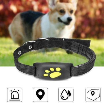 GPS Pet Tracker Collar – Real-Time Dog GPS Tracker with Geo-Fence Alarm | Best in USA