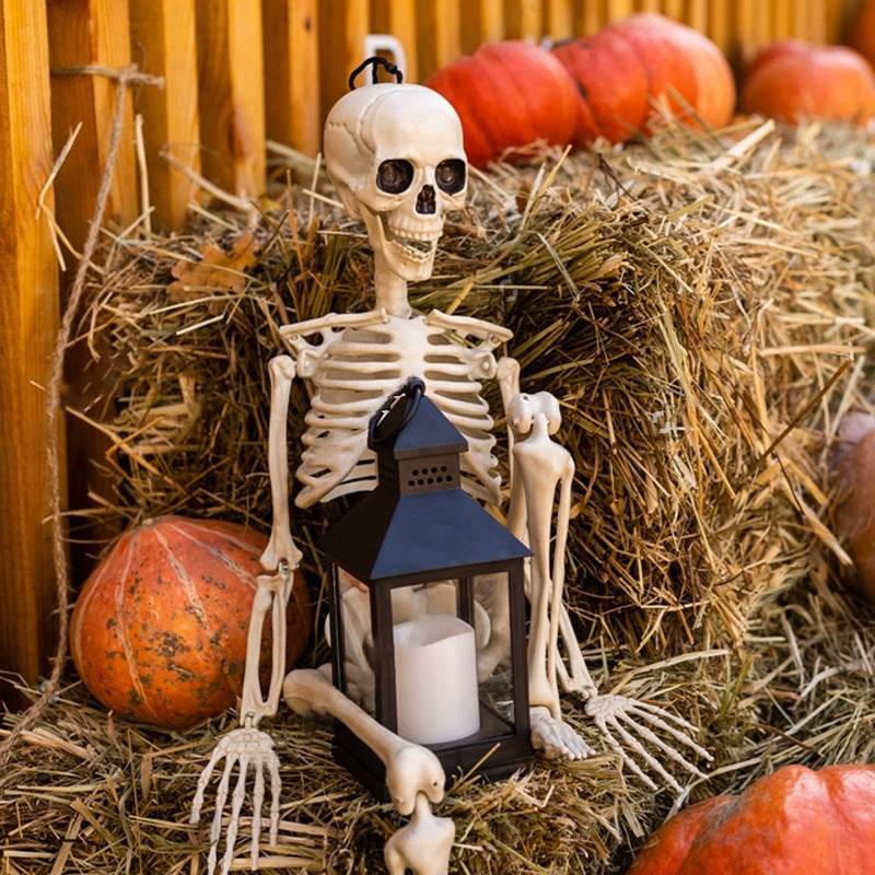 Halloween Movable Joint Skeleton Plastic Model 90cm Party Outdoor Decoration Props - Velora