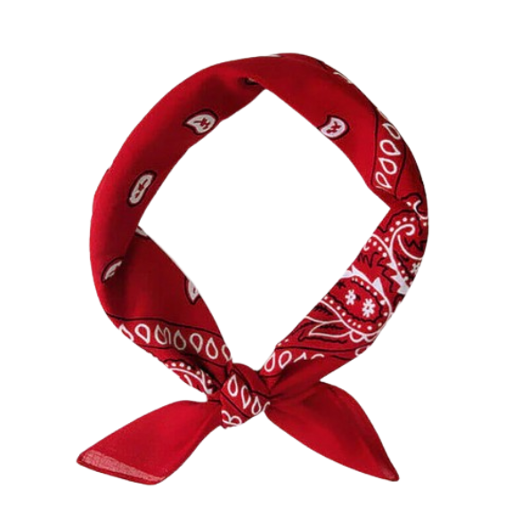 Europe Bound Bandanas 5 pack - Velora