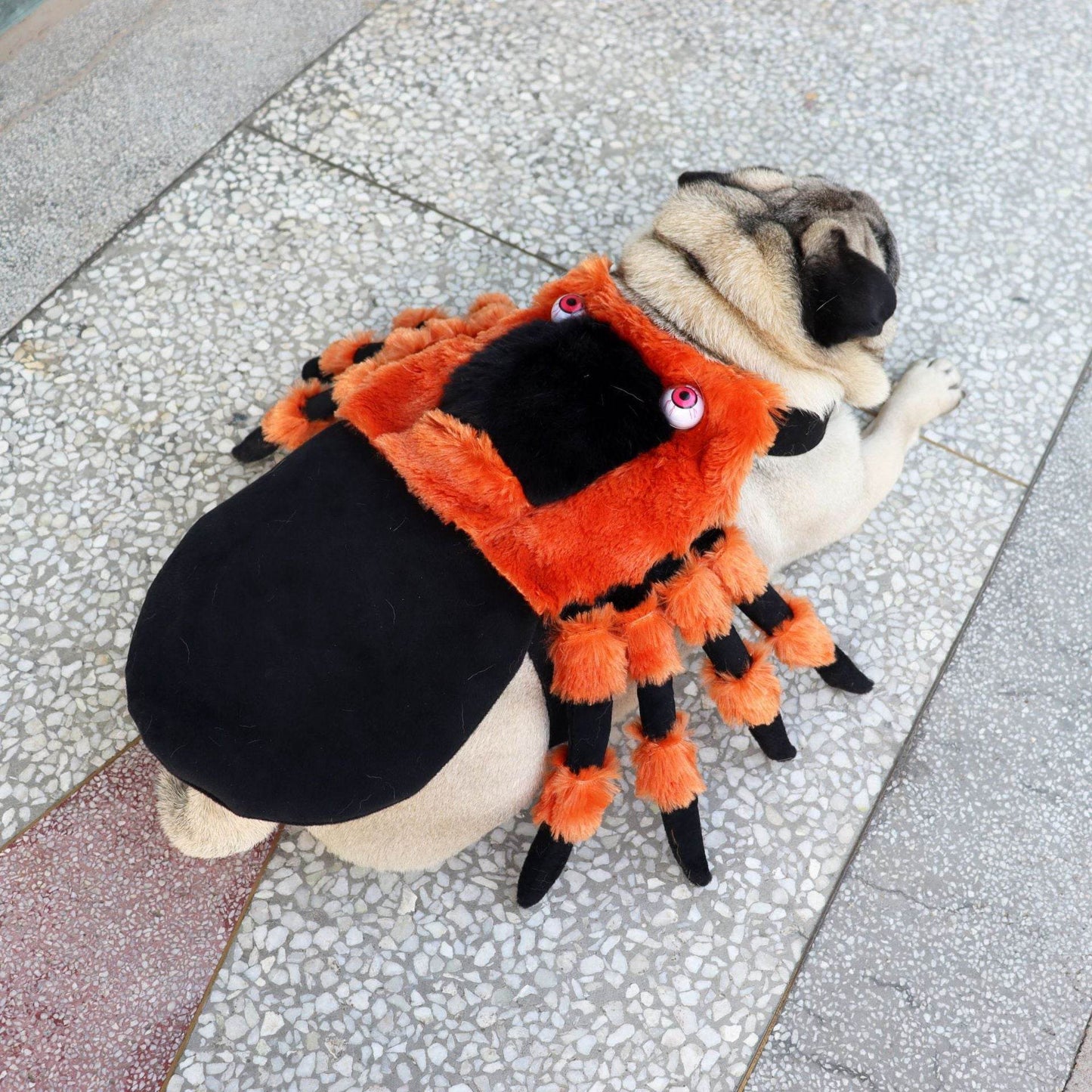 Pet Clothes Halloween Spider Pet Costume - Velora