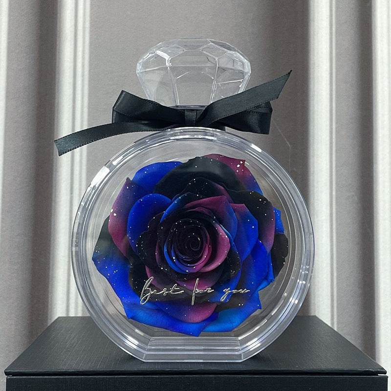 Natural Eternal Flower Ornaments Transparent Cover Dried Rose Gift Box For Christmas New Year Valentine's Day Home Decor - Velora