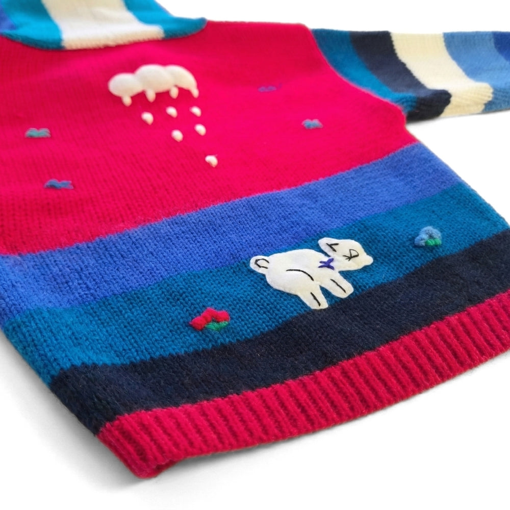 4-5T Kids Hand-Knit Alpaca Wool Sweater Sassy's Garage