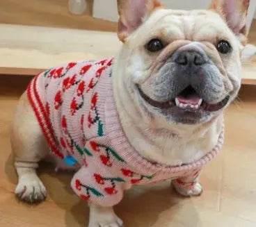 Christmas pet dog sweater - Velora