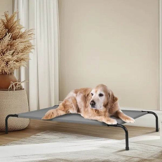 50D X 31W X 8H Dog Bed - Velora