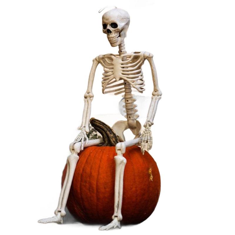 Halloween Movable Joint Skeleton Plastic Model 90cm Party Outdoor Decoration Props - Velora