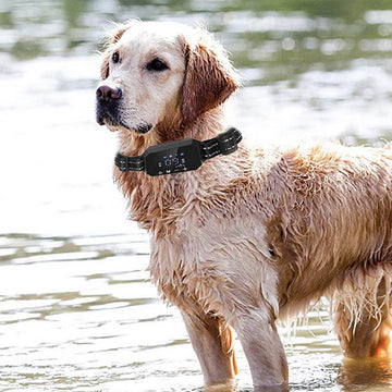 Smart GPS Dog Training Collar – Waterproof Remote Dog Trainer with Vibration & Shock Modes