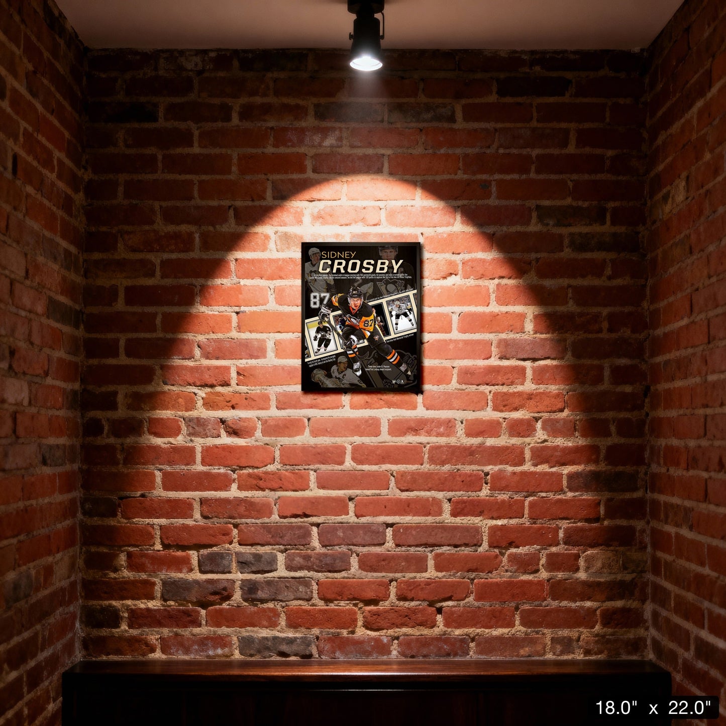 Sidney Crosby Pittsburgh Penguins Framed 16x20 Career Collage