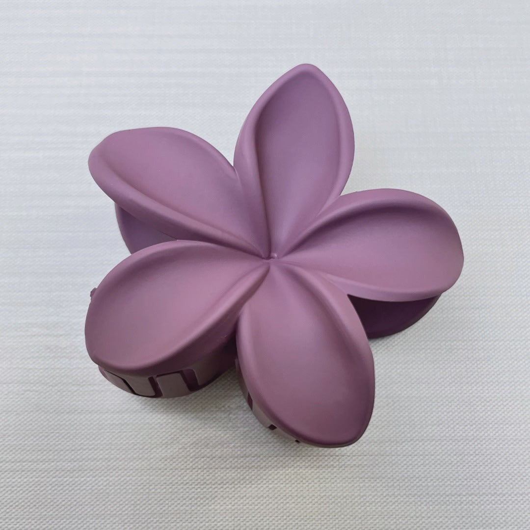 Frosted Holiday Hot Sale Side Grab Barrettes - Velora