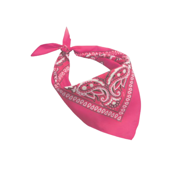 Europe Bound Bandanas 5 pack - Velora