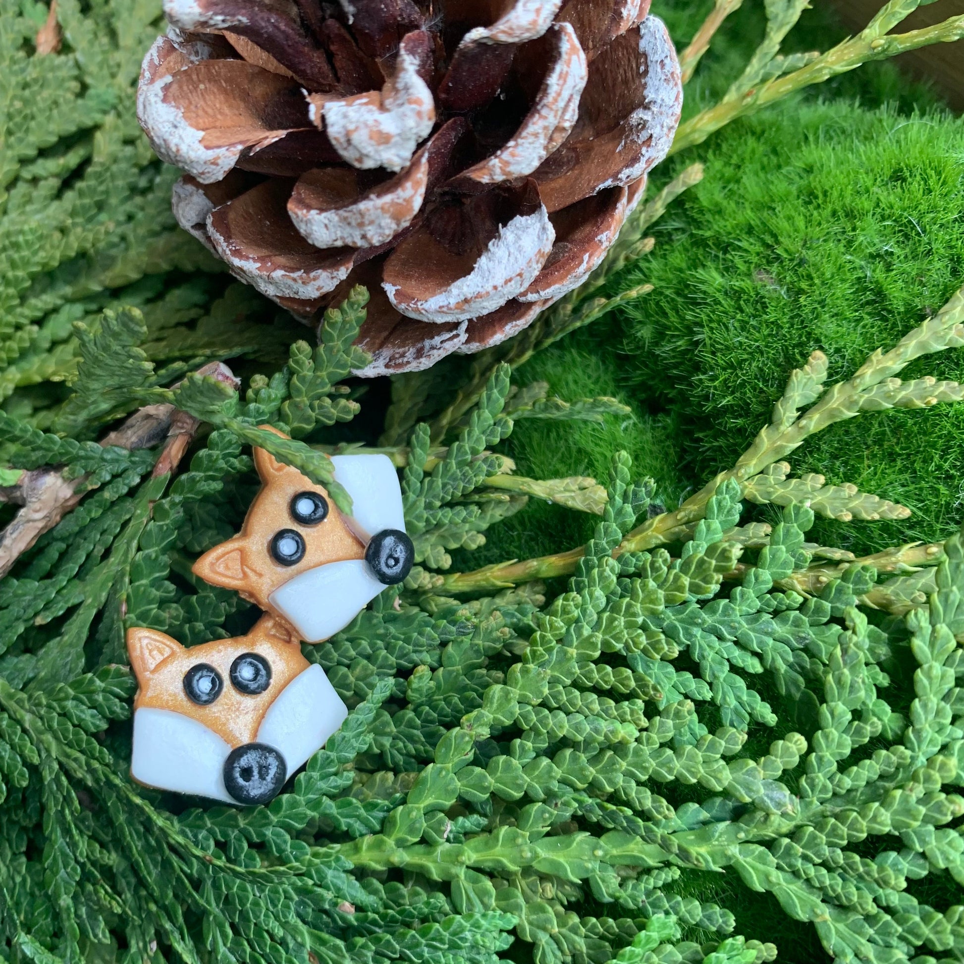 #jimmythefox Clay Creations - Velora Luxury Fashion