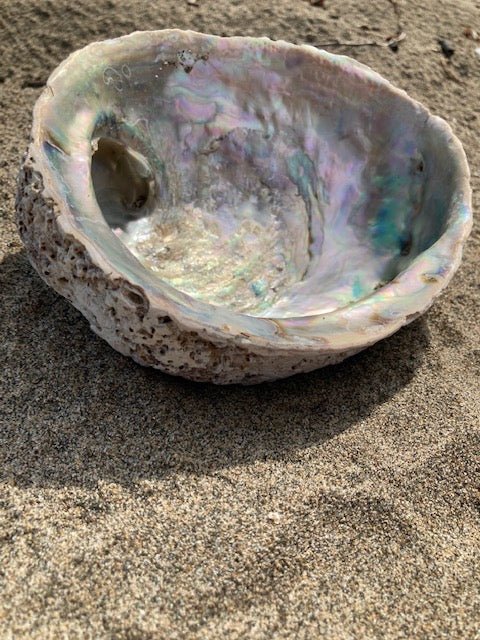 Abalone Shell Jewelry/Smudging Dish - Velora Luxury Fashion
