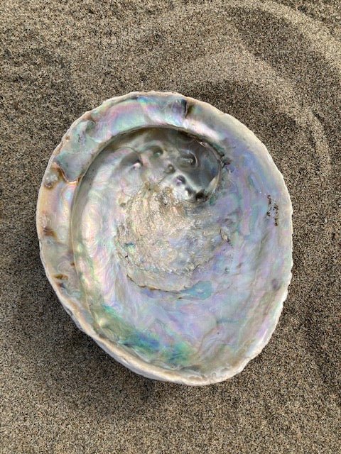 Abalone Shell Jewelry/Smudging Dish - Velora Luxury Fashion