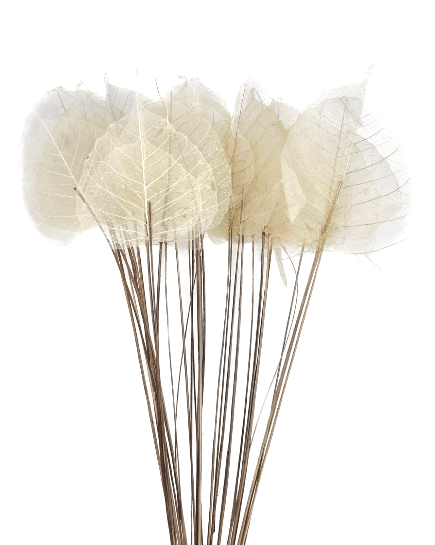 Skeleton Leaves Small - Velora Luxury Fashion