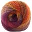 COLORFUSION DK | Premier Yarns Collection - Velora Luxury Fashion