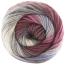 COLORFUSION DK | Premier Yarns Collection - Velora Luxury Fashion