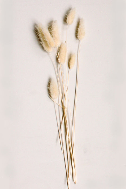 Cream Bunny Tails - Velora Luxury Fashion