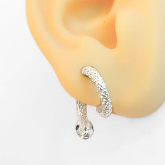 Curious Snake Illusion Earrings - Velora Luxury Fashion