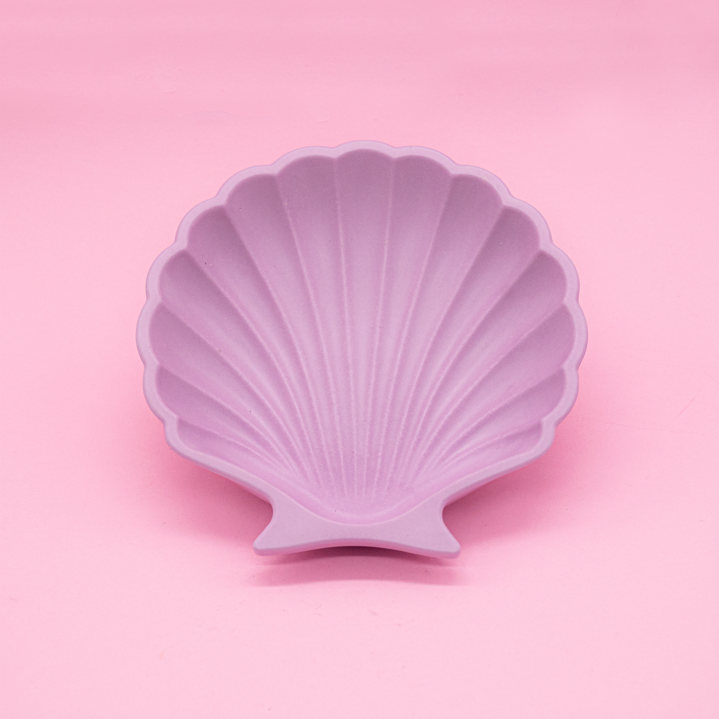 Shell Trinket Dish