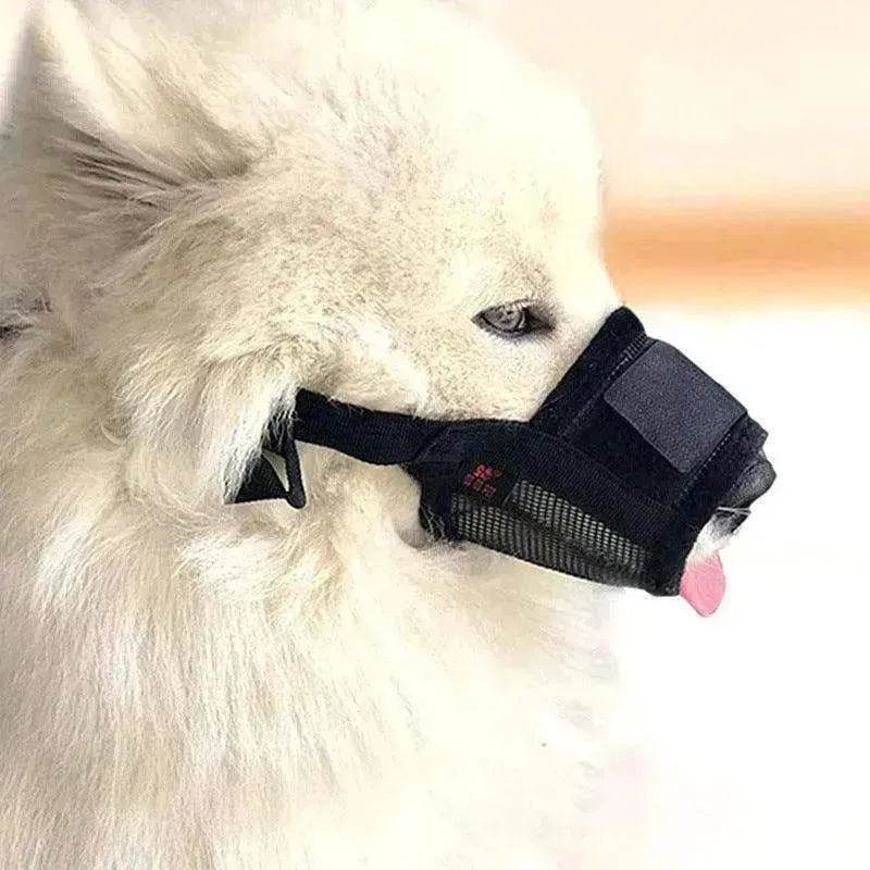 Dog Bite Guard Furniture Leggings