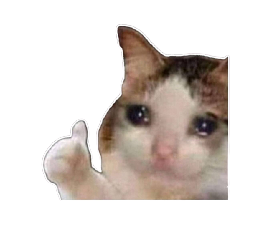 Doing Great! Sad Cat Thumbs Up Meme | Collectible Pin - Velora Luxury Fashion