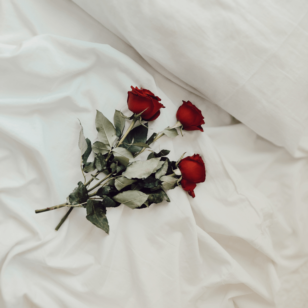 Dozen Red Roses - Velora Luxury Fashion