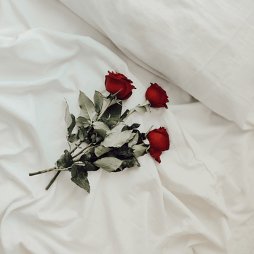 Dozen Red Roses - Velora Luxury Fashion