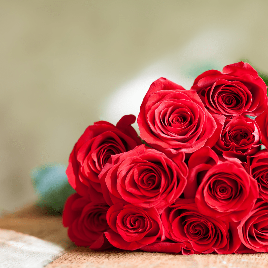 Dozen Red Roses - Velora Luxury Fashion